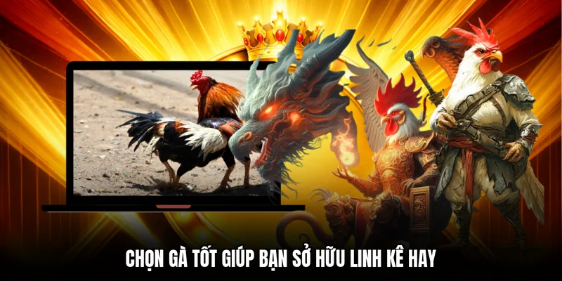 Chọn gà tốt giúp bạn sở hữu linh kê hay